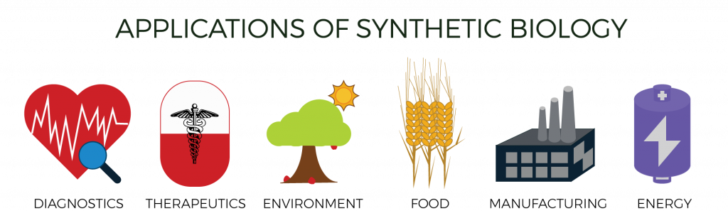 Synthetic Biology, Explained. – Bilkent UNAM iGEM Team