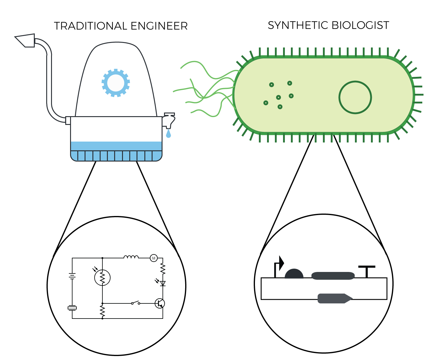 synthetic-biology-explained-bilkent-unam-igem-team